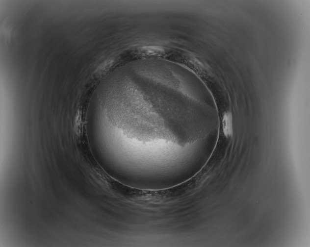 X0000086771395200704201755