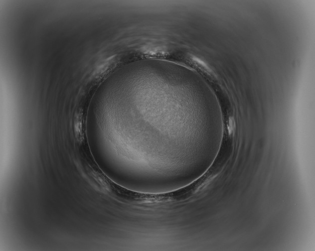 X0000086771396200704201755
