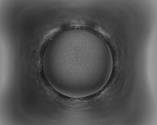X0000086771398200704201755