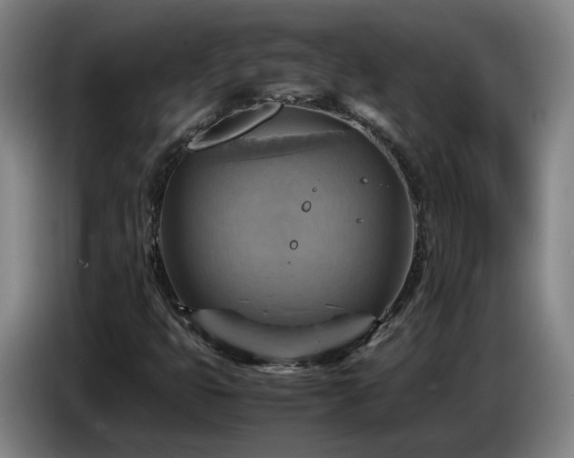 X0000086771399200704201755