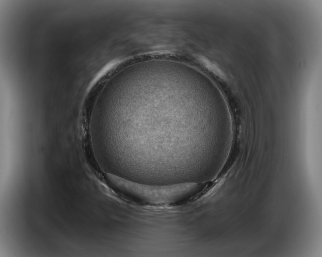 X0000086771400200704201755