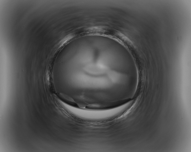 X0000086771401200704201755