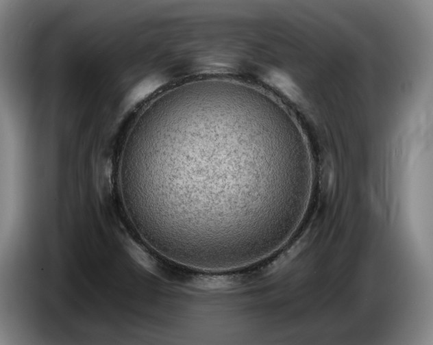 X0000086771402200704201755