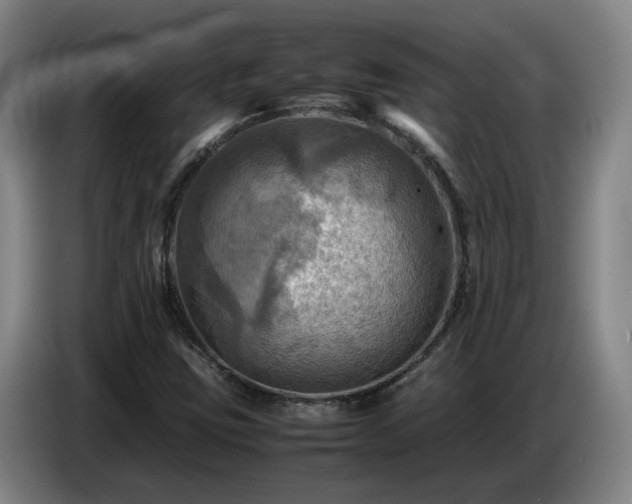 X0000086771403200704201755