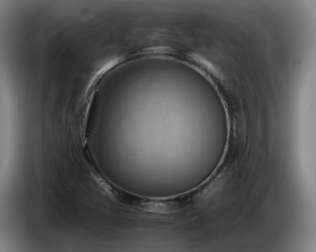 X0000086771405200704201755