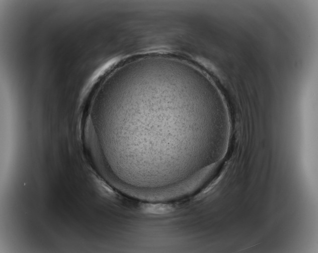 X0000086771406200704201755
