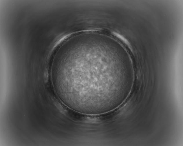 X0000086771407200704201755
