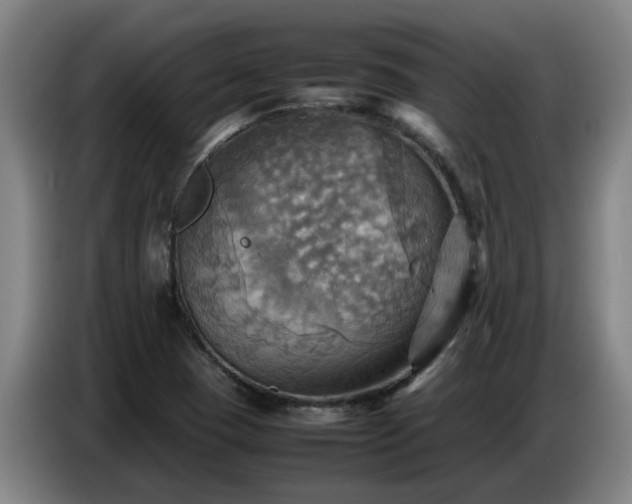 X0000086771409200704201755