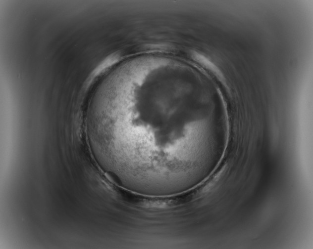X0000086771411200704201756