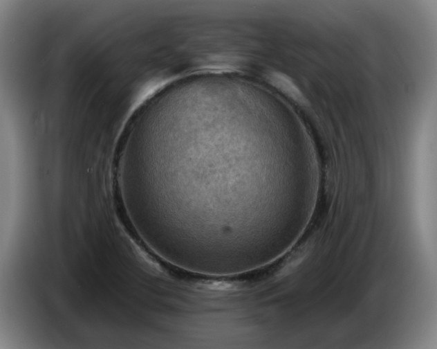 X0000086771412200704201756