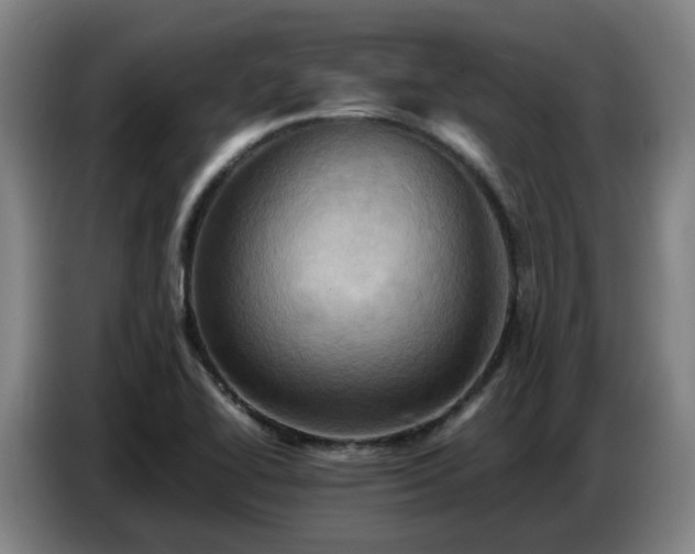X0000086771414200704201756