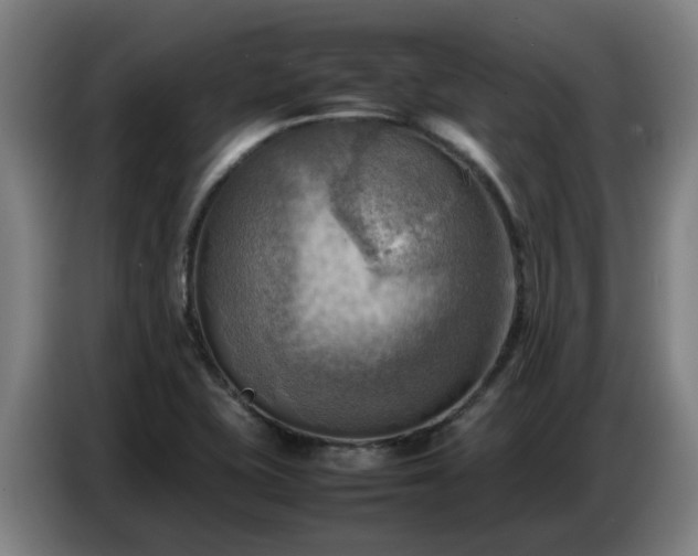 X0000086771415200704201756