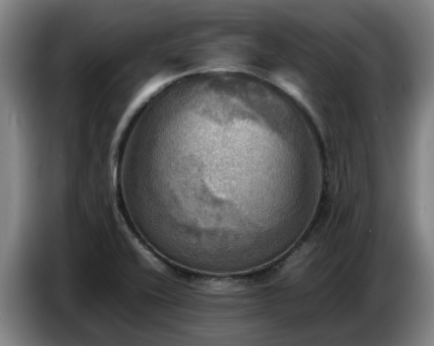 X0000086771416200704201756