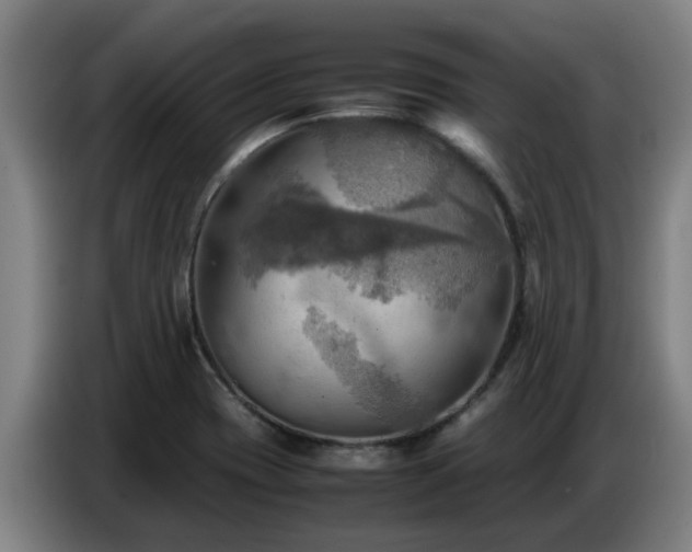 X0000086771417200704201756