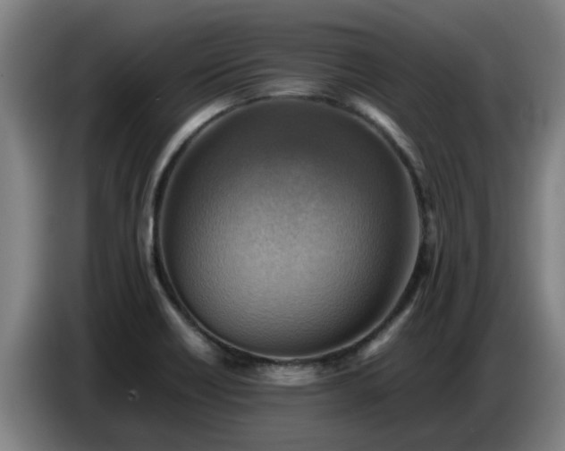 X0000086771418200704201756