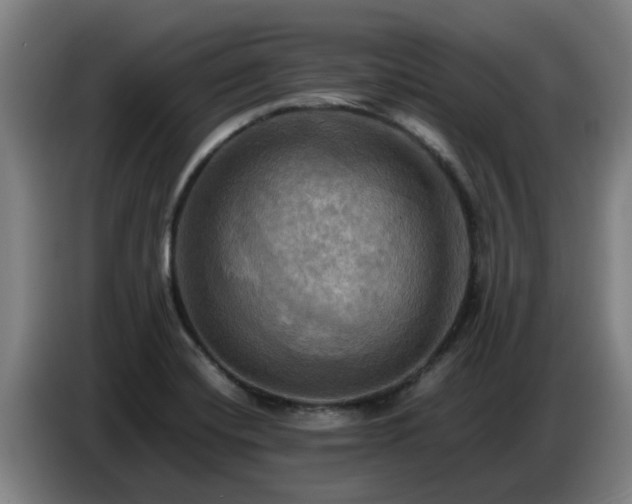 X0000086771420200704201756