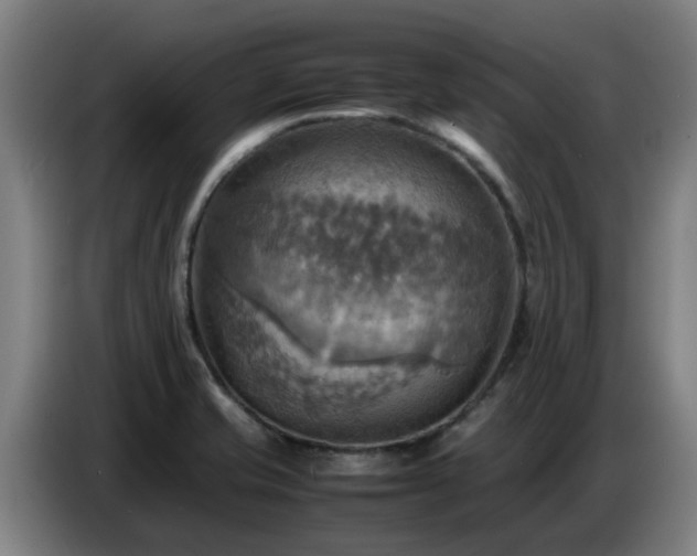 X0000086771421200704201756