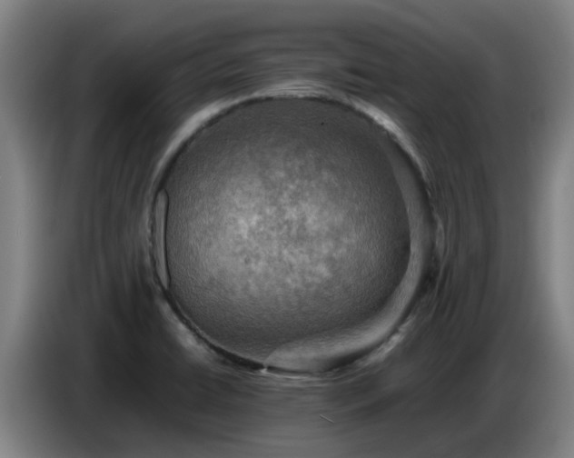 X0000086771422200704201756