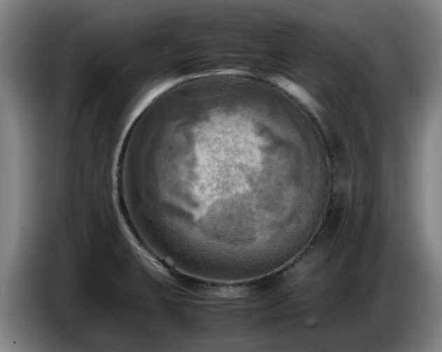 X0000086771423200704201756