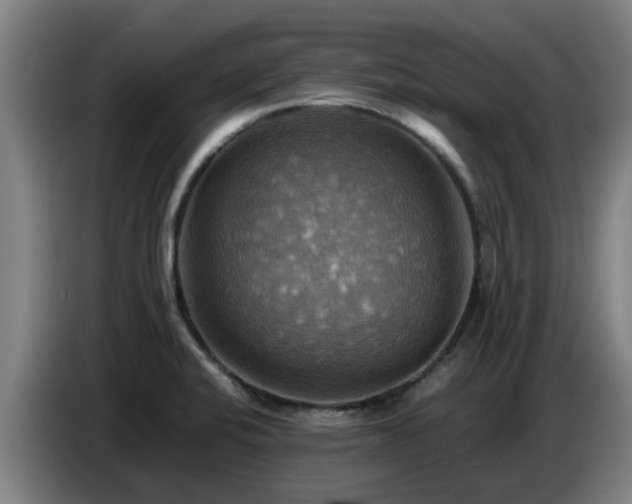 X0000086771424200704201756