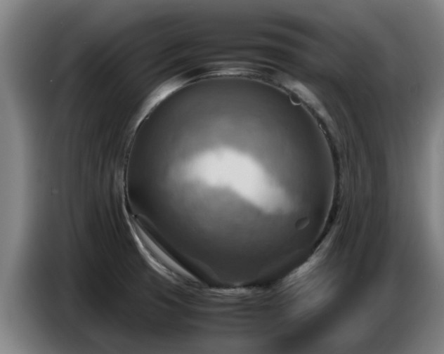 X0000086771425200704201756