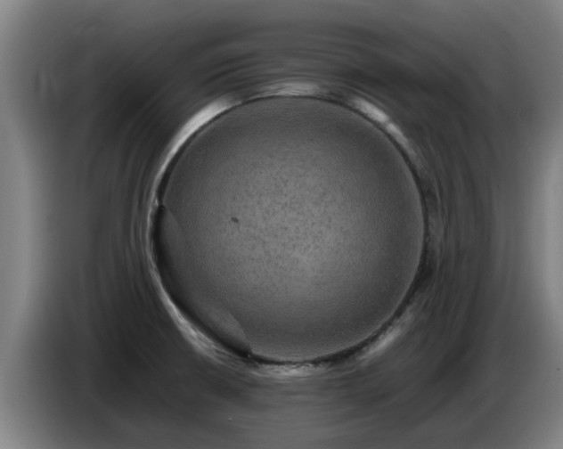 X0000086771426200704201756