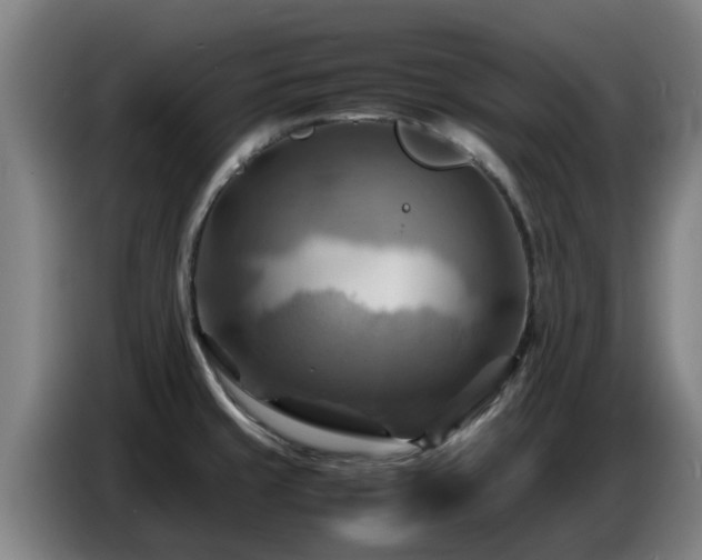 X0000086771429200704201756