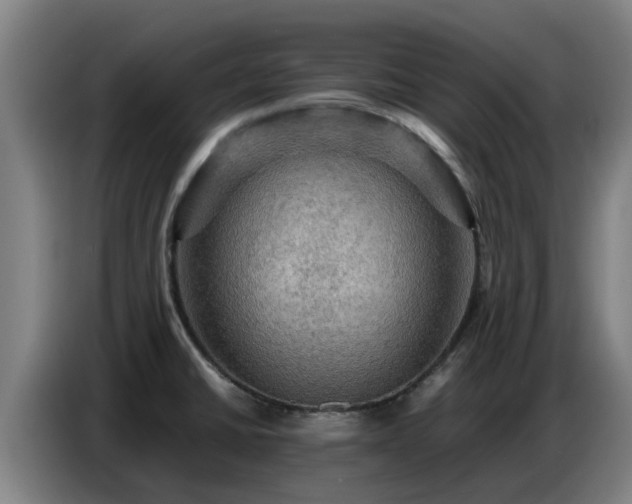X0000086771430200704201756