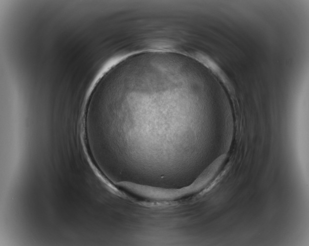X0000086771432200704201756