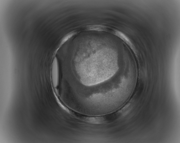 X0000086771433200704201756