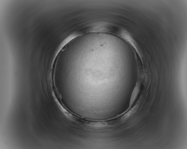 X0000086771434200704201756