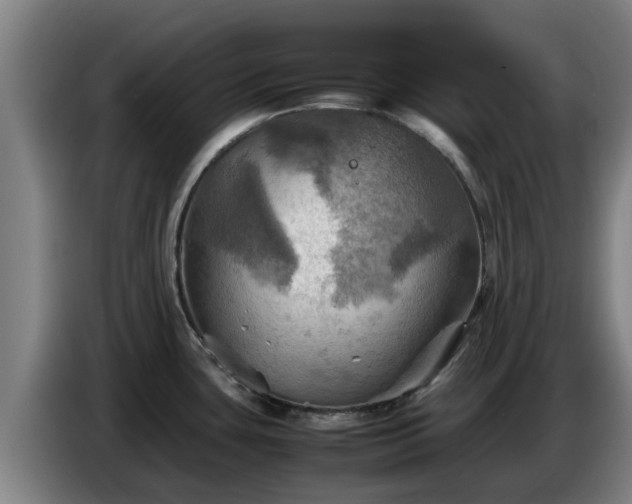X0000086771435200704201756