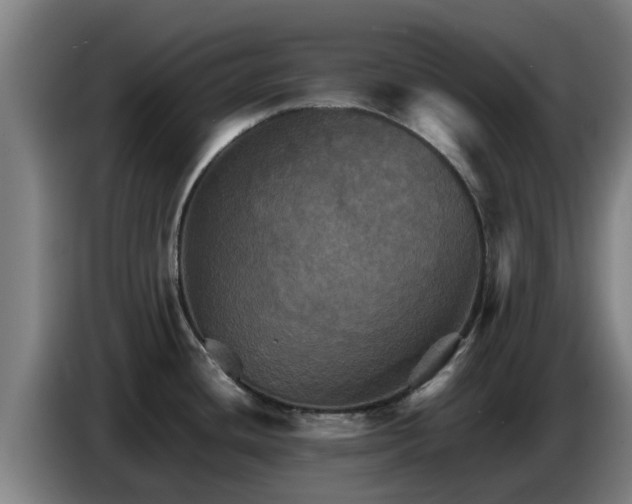 X0000086771436200704201756
