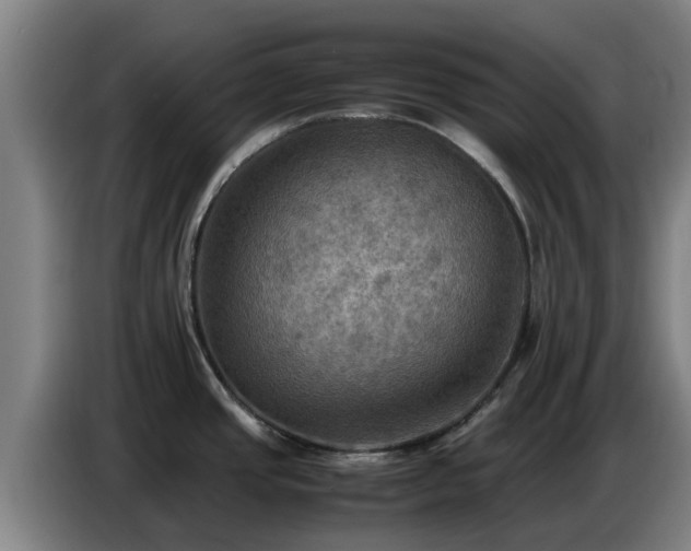 X0000086771437200704201756