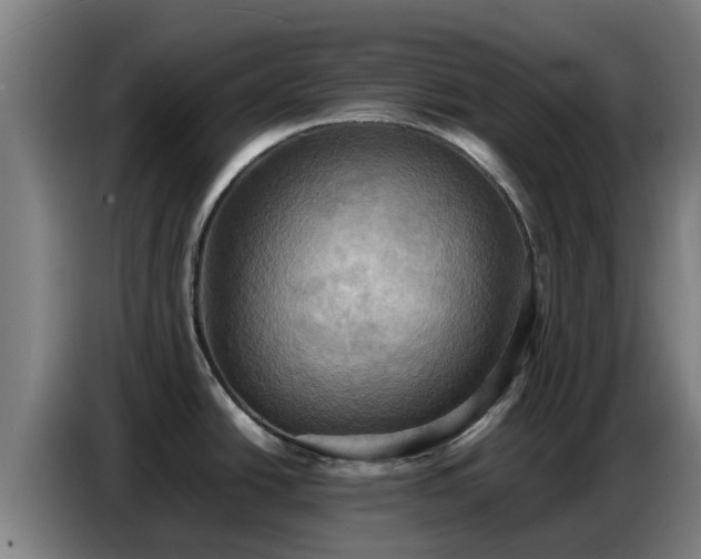 X0000086771438200704201756