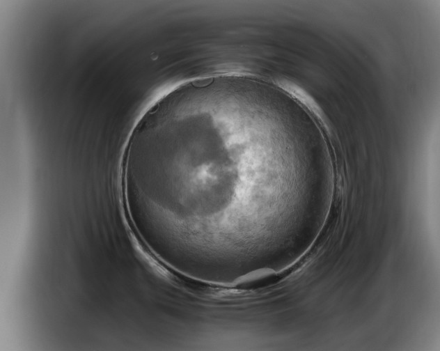 X0000086771439200704201756