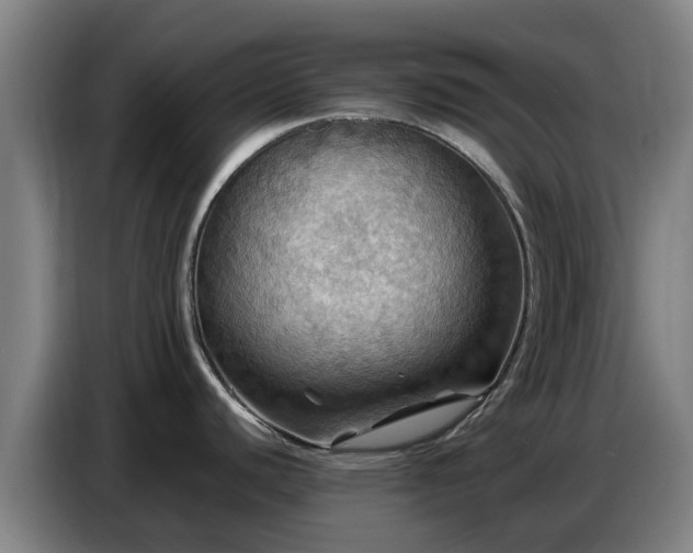 X0000086771440200704201756
