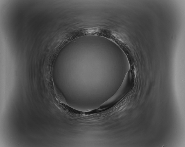 X0000086771441200704201755