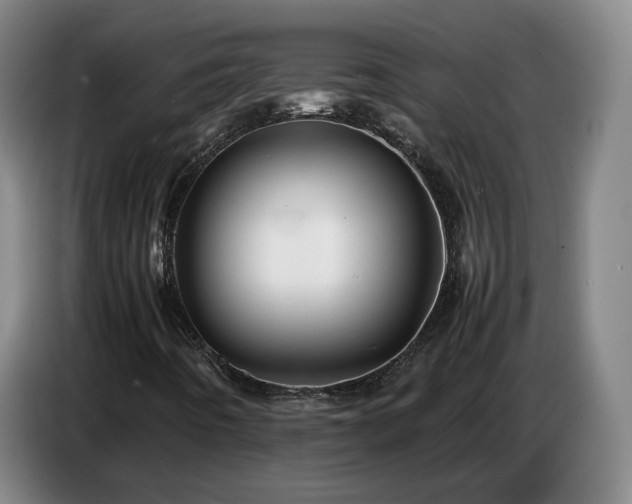 X0000086771442200704201755