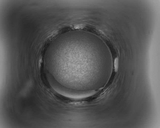 X0000086771443200704201755