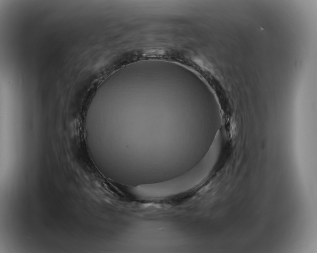 X0000086771445200704201755