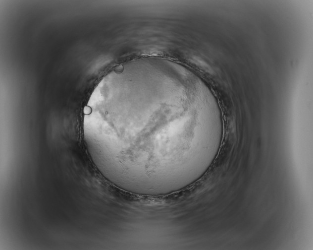 X0000086771446200704201755
