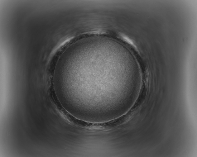 X0000086771448200704201755