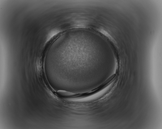 X0000086771450200704201755