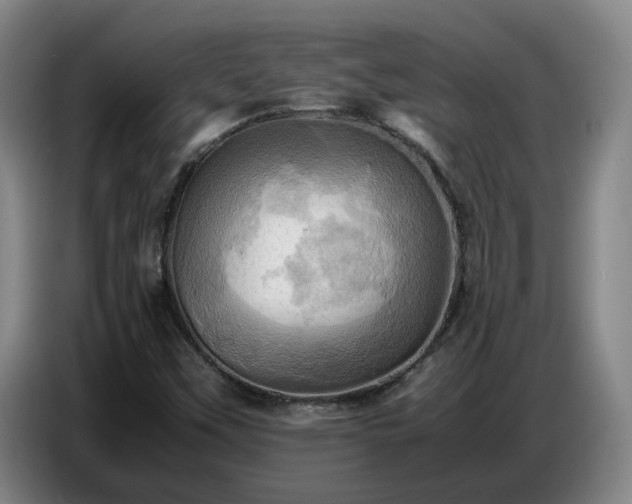 X0000086771451200704201755