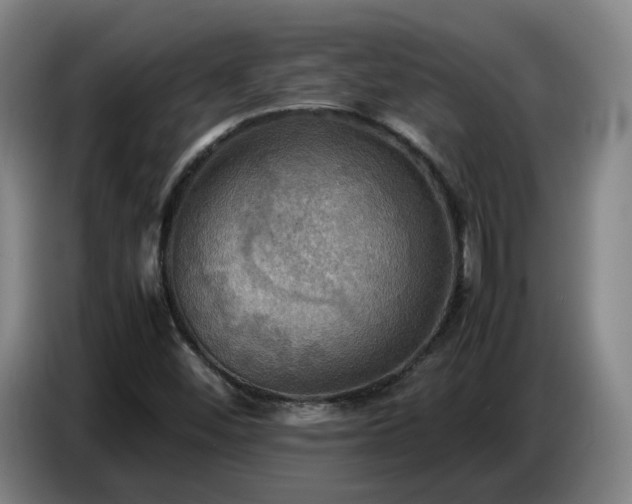 X0000086771452200704201755