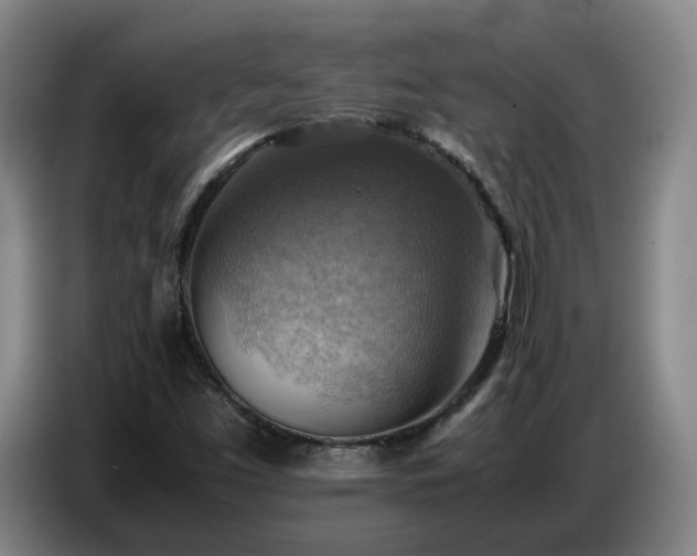 X0000086771453200704201755