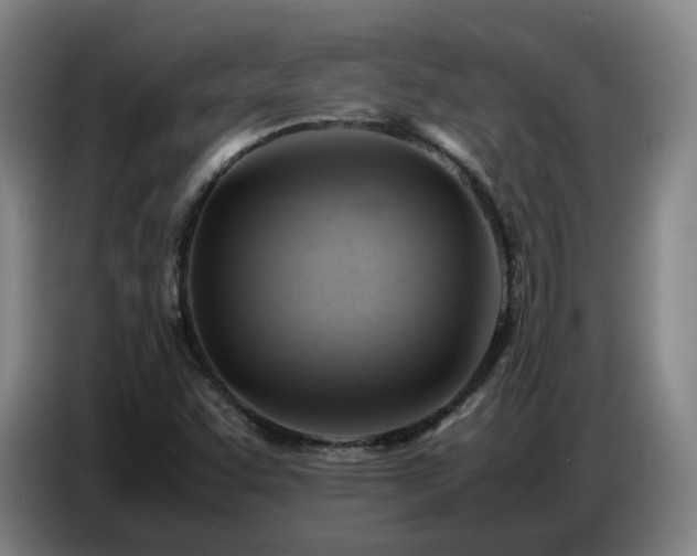 X0000086771455200704201755