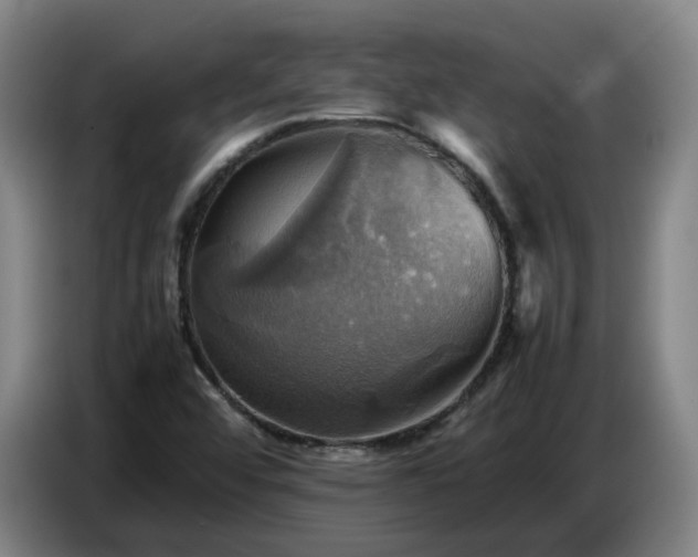 X0000086771456200704201755