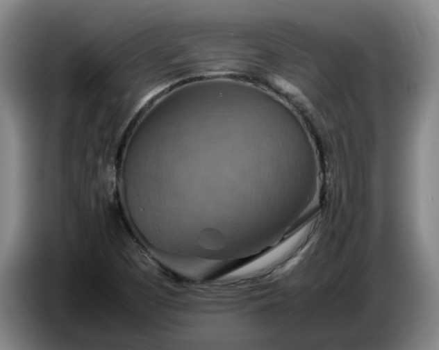 X0000086771457200704201755